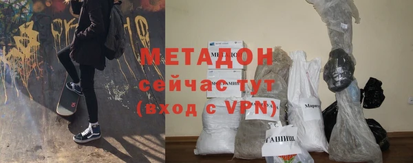 прущие грибы Богданович