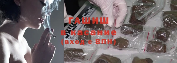 прущие грибы Богданович