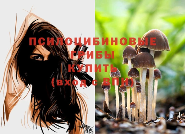 эйфоретик Белокуриха