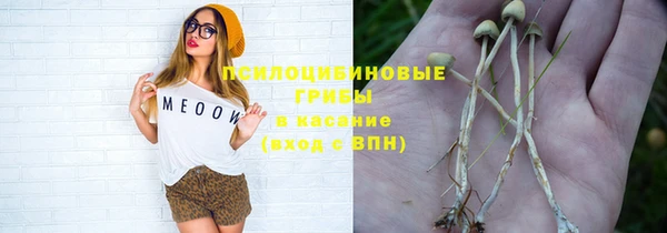 стаф Белоозёрский