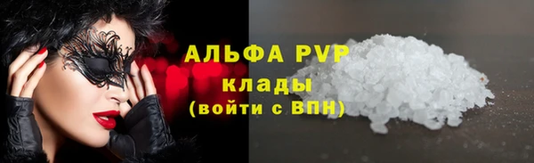 стаф Белоозёрский