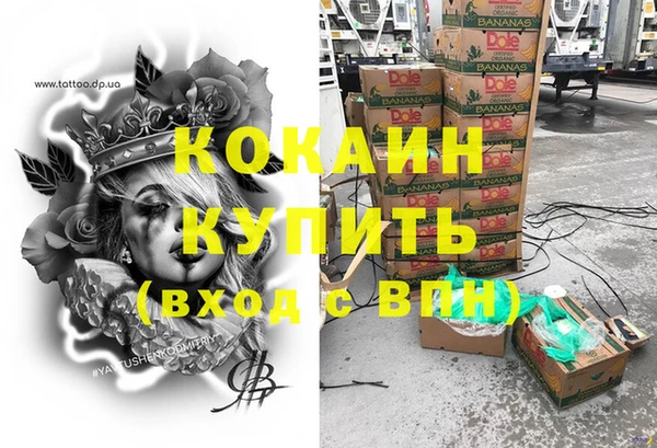 прущие грибы Богданович
