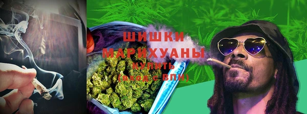 стаф Белоозёрский