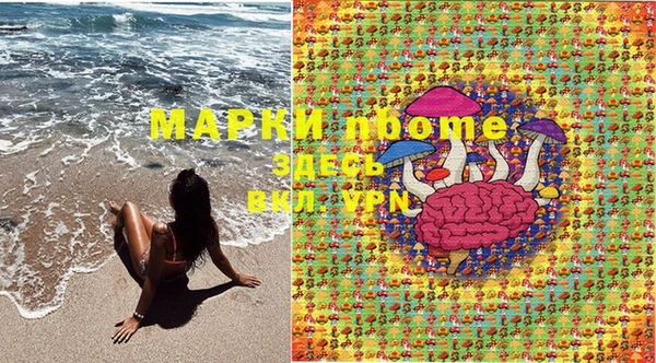 прущие грибы Богданович