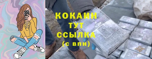 прущие грибы Богданович